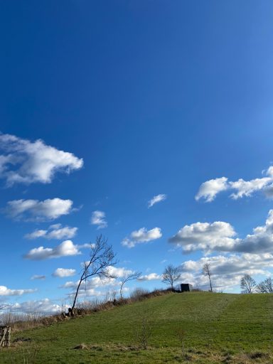 Ein blauer Himmel mit wenigen Wolken über einem Hügel mit einem Baum und einer kleinen Hütte.
